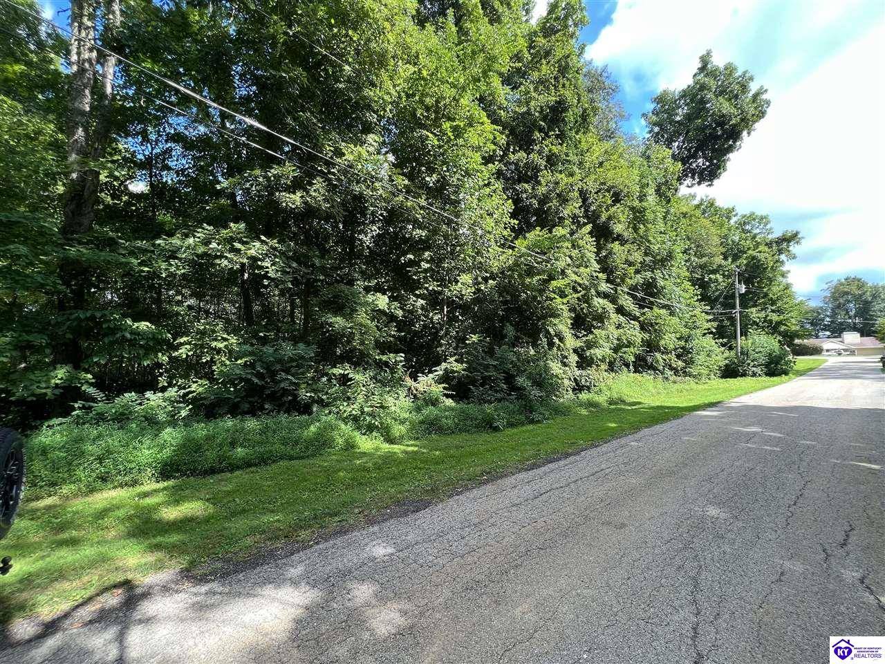 Mathers Road, Hodgenville, KY 42748