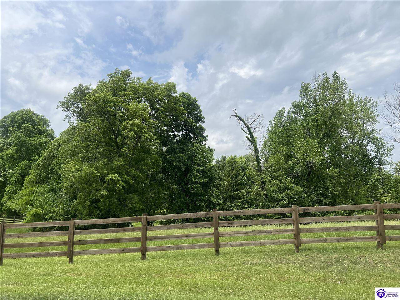 Elizabethtown, KY 42701,Lot 2C Overall Phillips Road