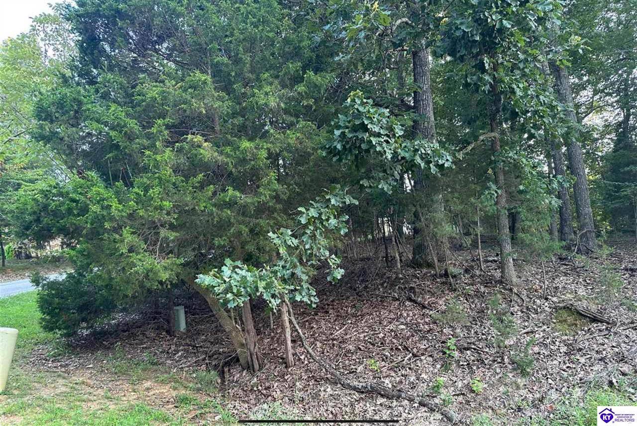 Brandenburg, KY 40108,Lot #539 Strawberry Hill Drive