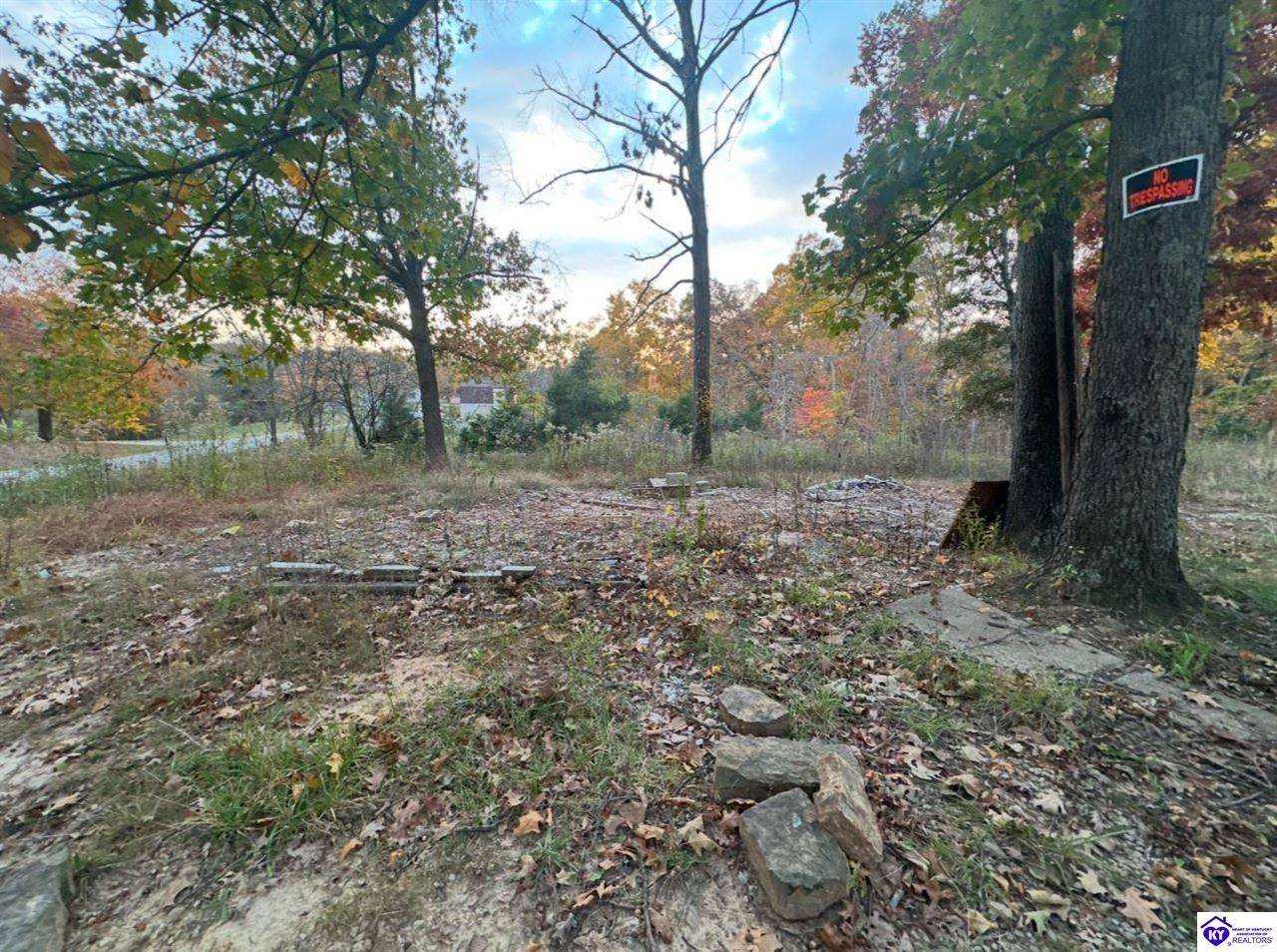 465 Berryman Road, Brandenburg, KY 40108