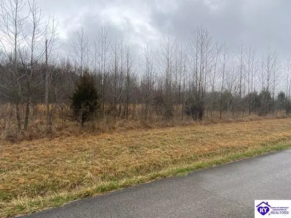 Lot 1A Moore Road, Summer Shade, KY 42166