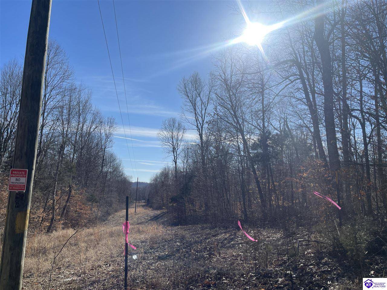 Buffalo, KY 42716,1848 Levelwoods Road