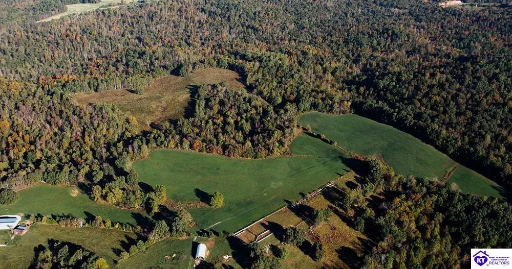 Eastview, KY 42732,TRACT 1 Roy Road