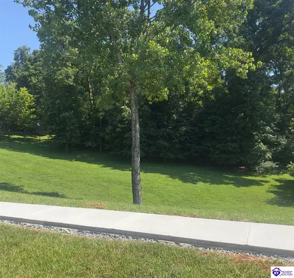 Radcliff, KY 42701,0 Villa Ray Drive