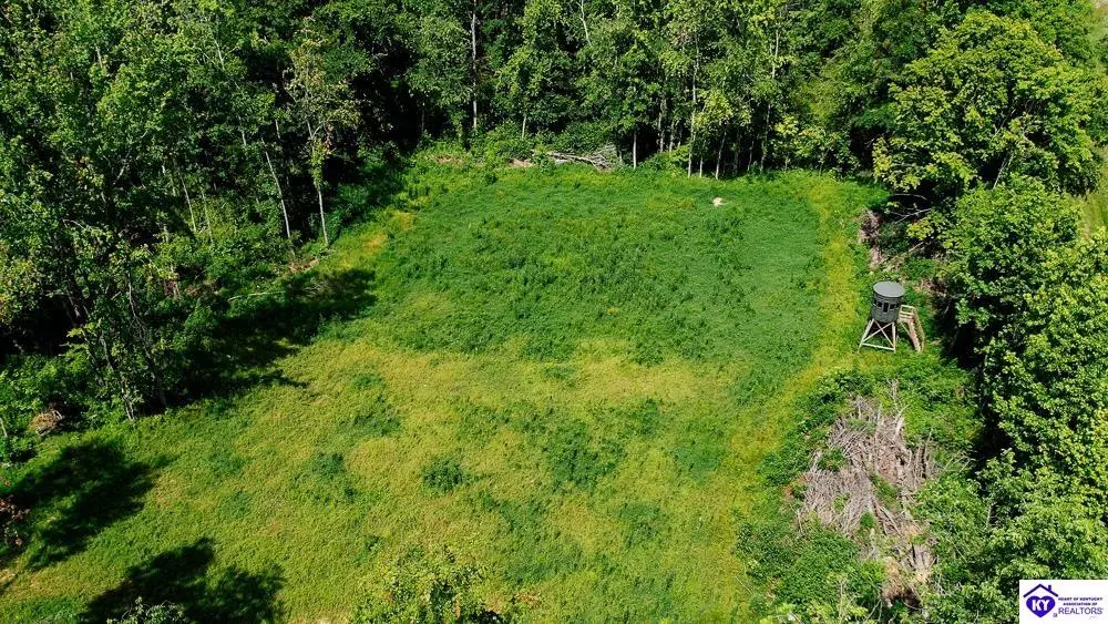 Cromwell, KY 42333,Tract 6 Cook Lane