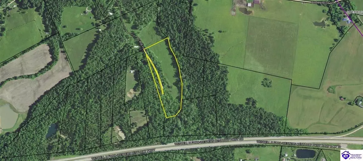 Caneyville, KY 42721,1293 Caneyville Cut Off Rd