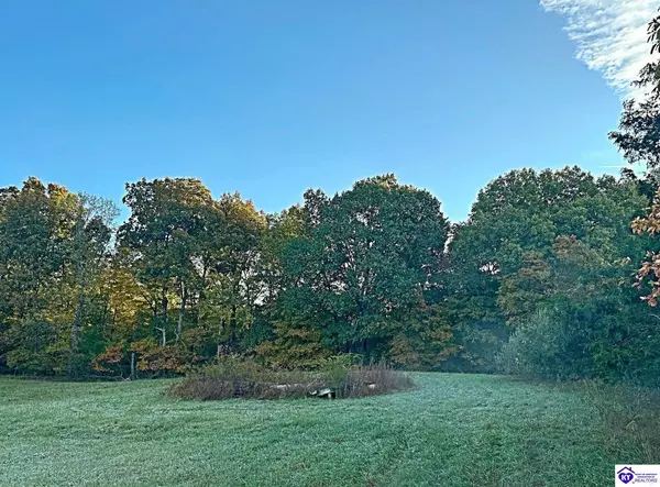 Campbellsville, KY 42718,0 Sprowles Ridge Road