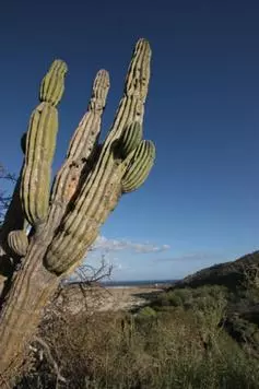 East Cape, Baja,Monte Bello #Monte Bello M1-05