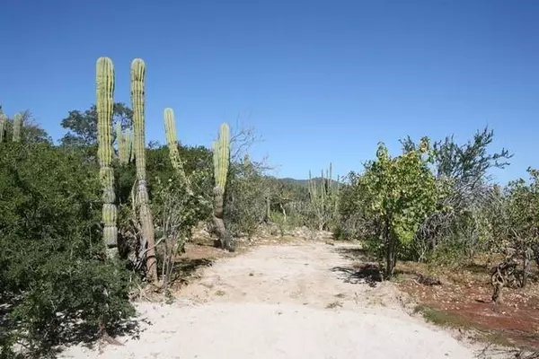 East Cape, Baja,Monte Bello #Monte Bello M1-04