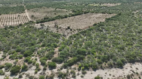 East Cape, Baja,Fracc A Parcela 1Z 0 P1/1 #Huertas Santa Cruz