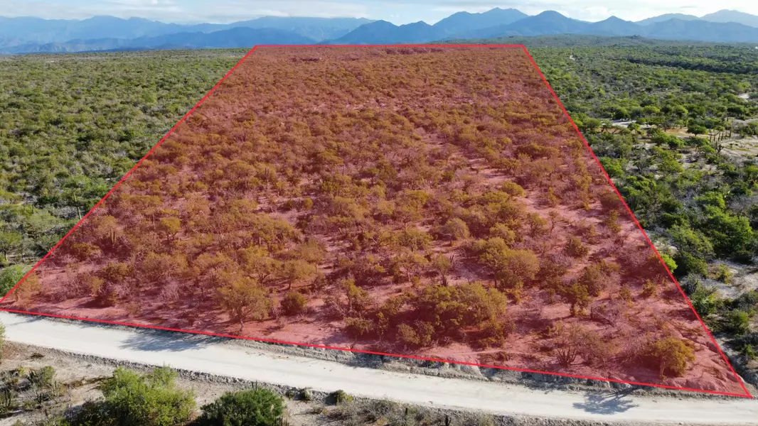 S/N Camino a la Candelaria #Predio Elias Calles, Pacific, Baja