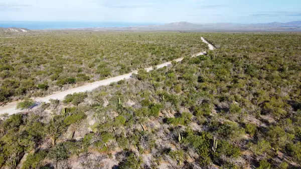 Pacific, Baja,S/N Camino a la Candelaria #Predio Elias Calles