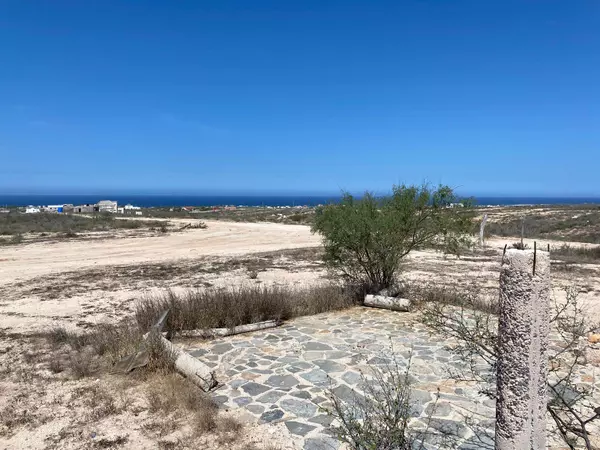 Pacific, Baja,012 #La Ahorcadita