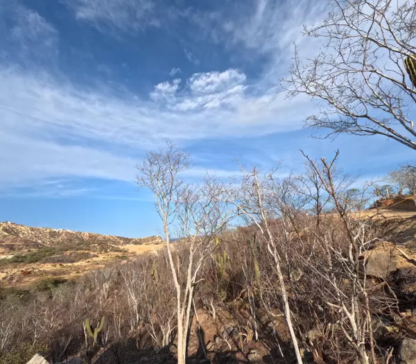 San Jose Corridor, Baja,#Palmilla Hills Lot 5