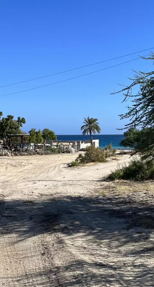 #Lisa's Beach Lot, East Cape, Baja