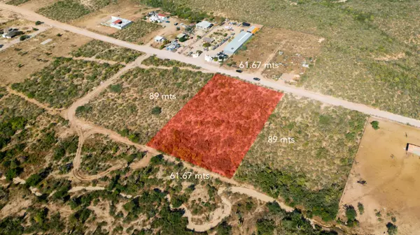 Pacific, Baja,SN Lot 015 | Migrino, Pacific #LOTE015