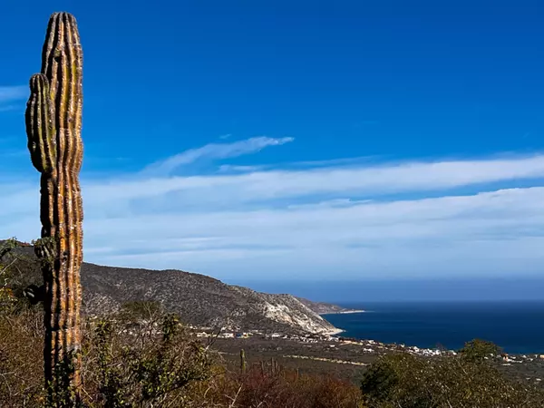 East Cape, Baja,#Rancho Cerro M7-01