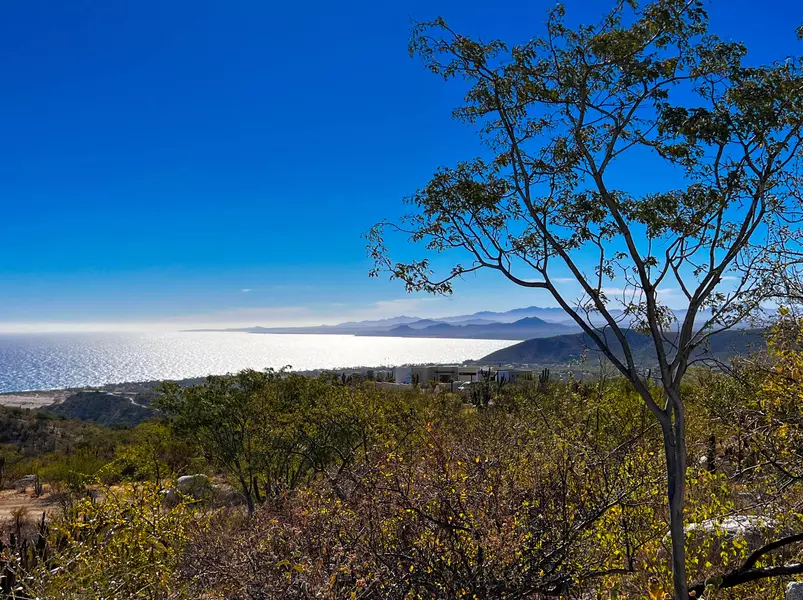 #Rancho Cerro M7-01, East Cape, Baja