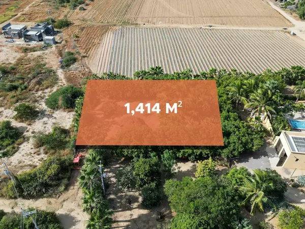 Pacific, Baja,#Huerta 28