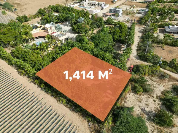 Pacific, Baja,#Huerta 28