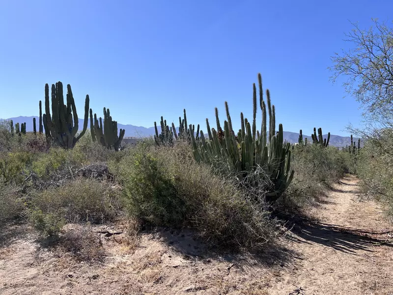 Lot 2 #Lomas de Playa Sur, La Paz, Baja