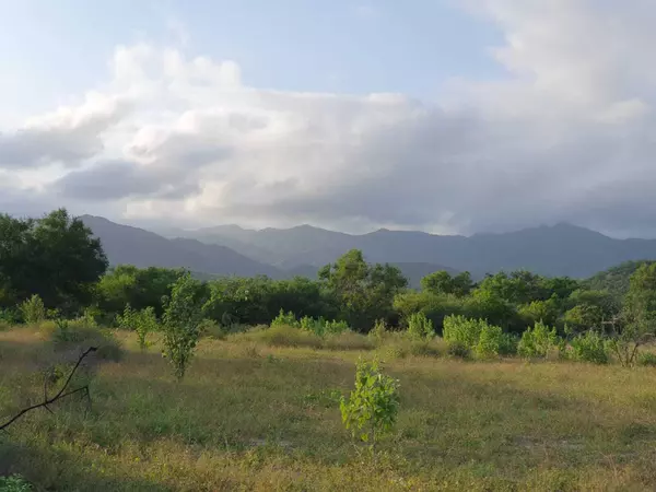 East Cape, Baja,#13 Acre Orchard, Agua Caliente