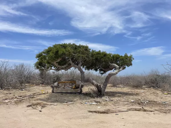 Pacific, Baja,#Predio Encinitos - Fraccion M