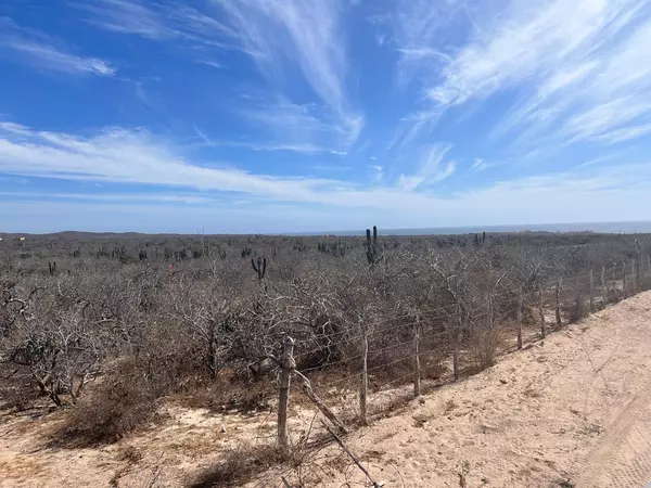 Pacific, Baja,19 CARRETERA CSL-TODOSANTOS #LOT 9 MIGRINO