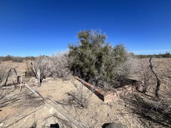 km 43 #El Mezquite de Don Dominguez, Comondu, Baja