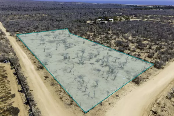 Pacific, Baja,#Lote Ramirez