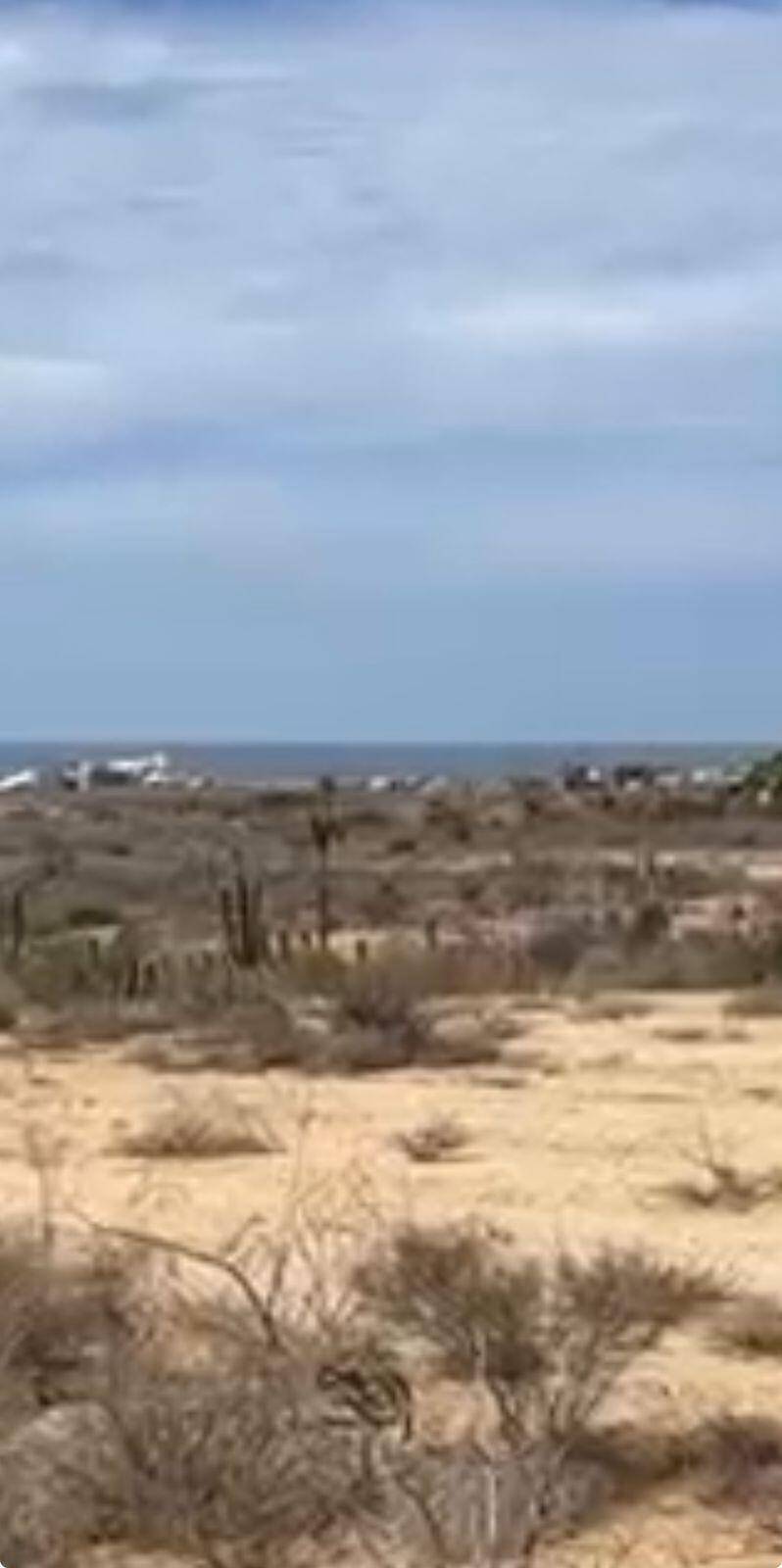 #TERRENO CERRITOS, Pacific, Baja