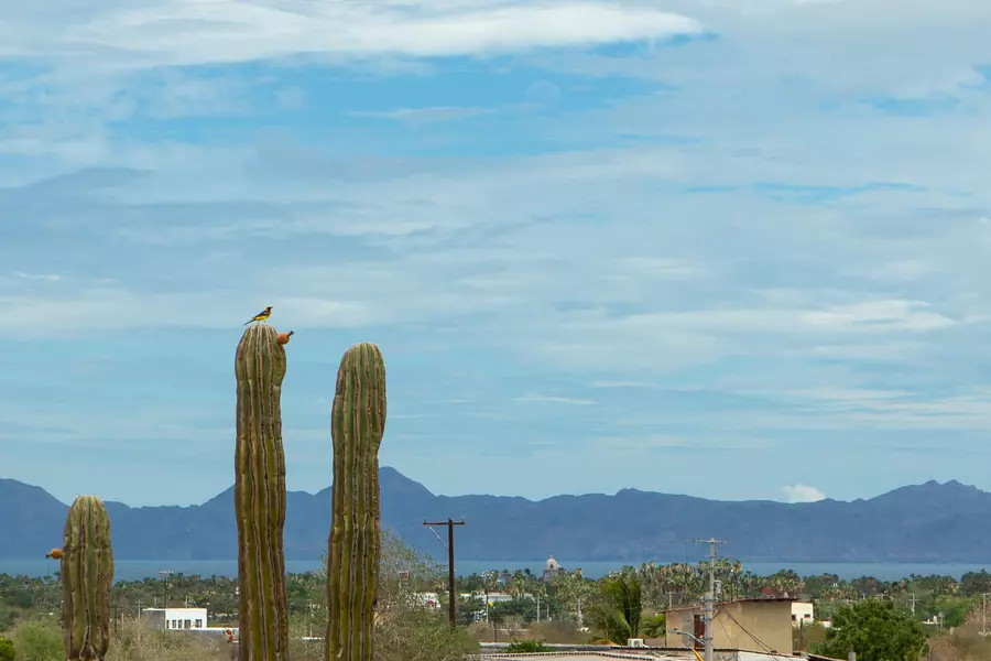 Cardenales e/ Halcones #Residential Lot with sea view, Loreto, Baja