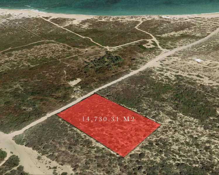 #Minerva's Lot, East Cape, Baja