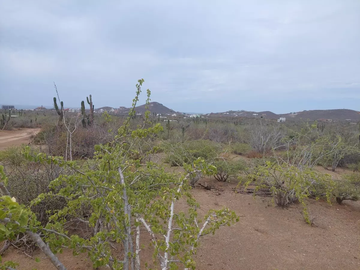 Pacific, Baja,SIN NUMERO SIN NOMBRE #CERRITOS LAND