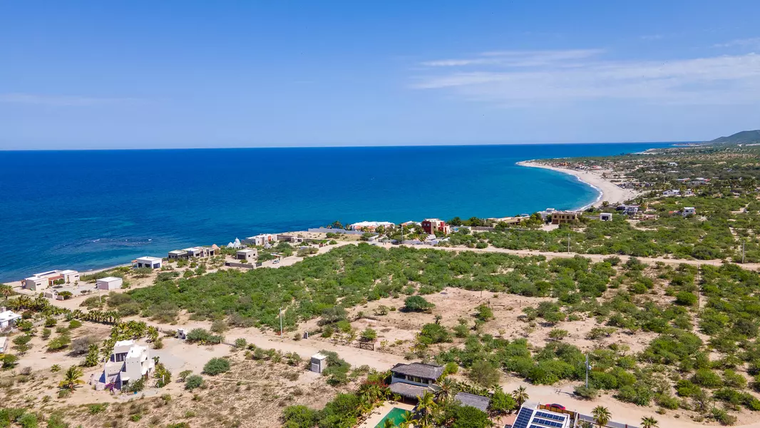 #Cardonal, East Cape, Baja