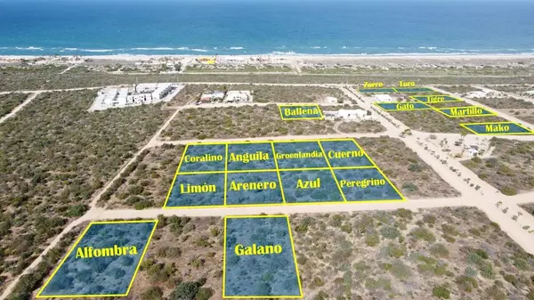 East Cape, Baja,Groenlandia (Mz 12, Lot 11)