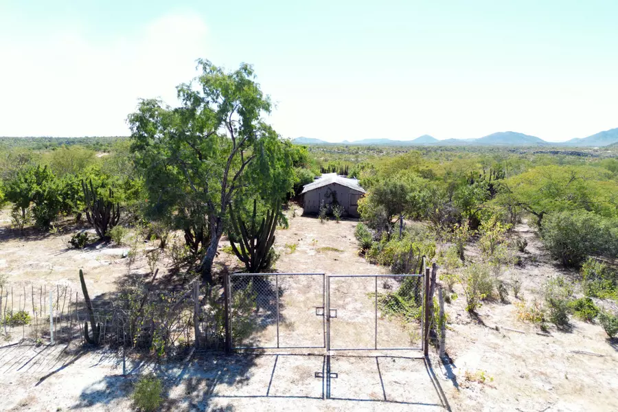 Hectarea Santa Anita #Hectarea Santa Anita, San Jose Del Cabo, Baja