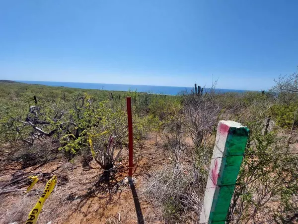 Pacific, Baja,SIN NOMBRE #DOS HECTAREAS ELIAS CALLES