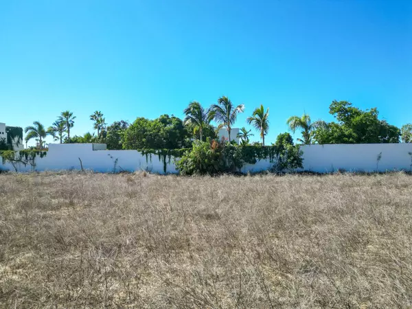 Pacific, Baja,#Huerta La Alegria Lot 10