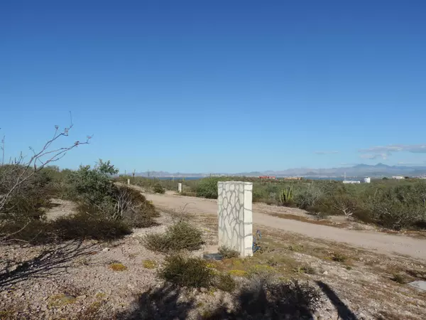 0889 Biznaga entre 20 y 21 #Loma Vista lot, La Paz, Baja
