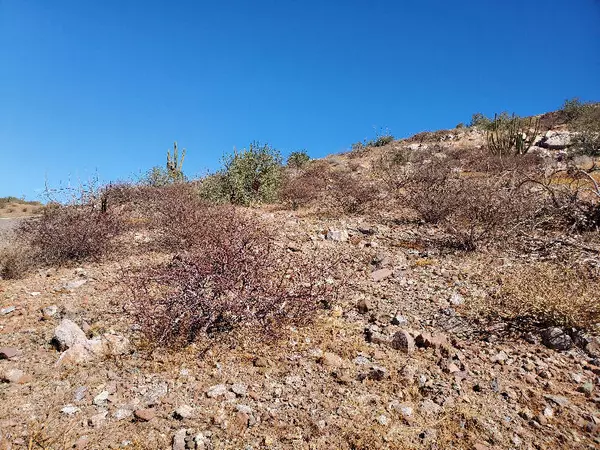 La Paz, Baja,#Lot#133 Maravia BCS