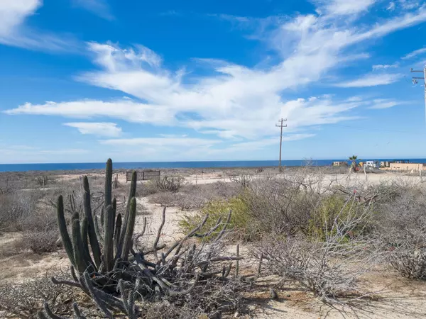 Pacific, Baja,#El Posito Corner