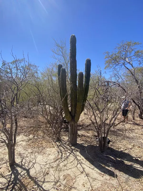 East Cape, Baja,Cto. del Sol #Colina Cardenal