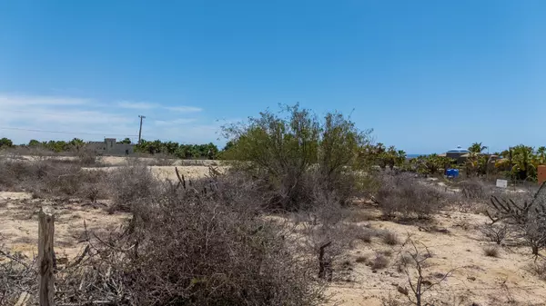 Pacific, Baja,#Las Tunas Sunrise