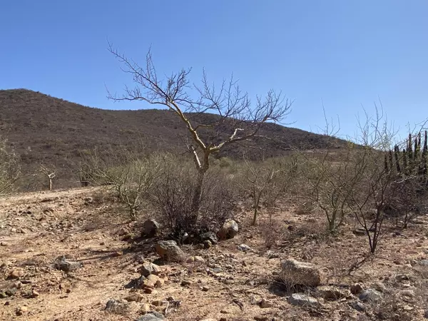 East Cape, Baja,#Dream View Estates 5