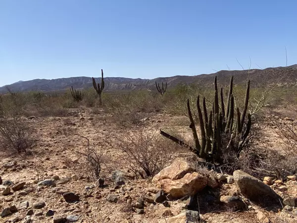 East Cape, Baja,#Dream View Estates 16