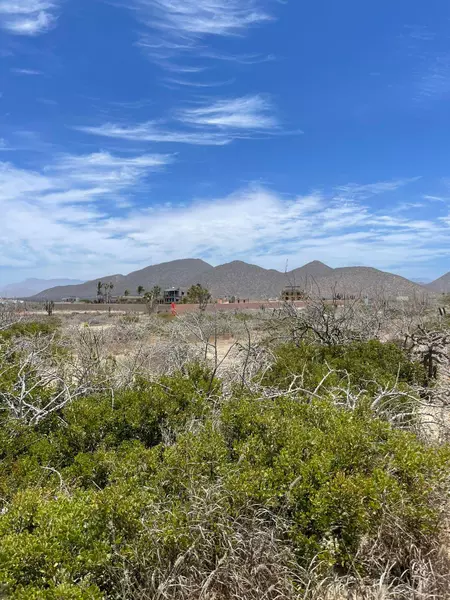 #LAND IN LOS CERRITOS, Pacific, Baja