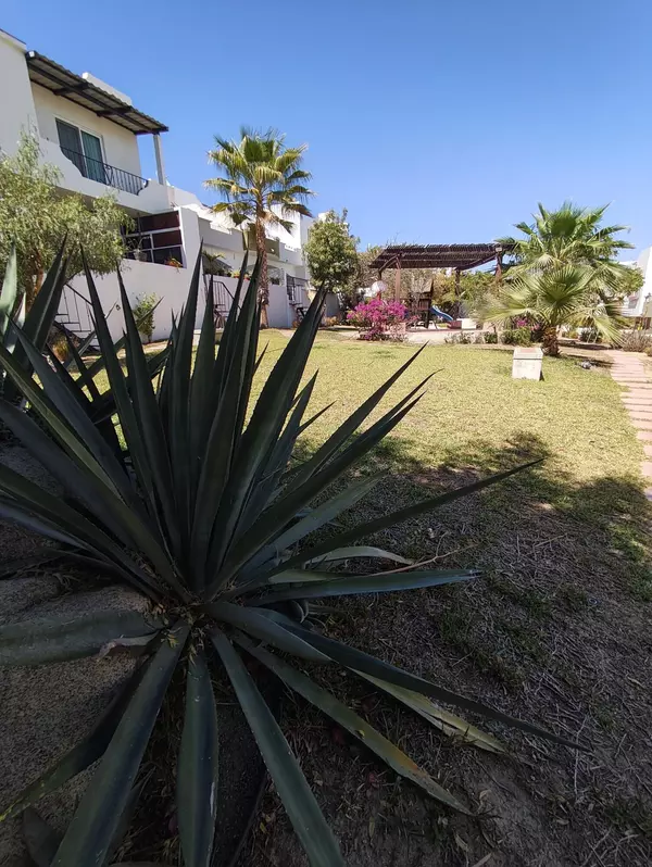 Cabo San Lucas, Baja,Sierra San Javier #Villa El Sueno - Terranova