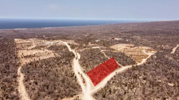 El Mangle #EL MANGLE UNO, Cabo San Lucas, Baja