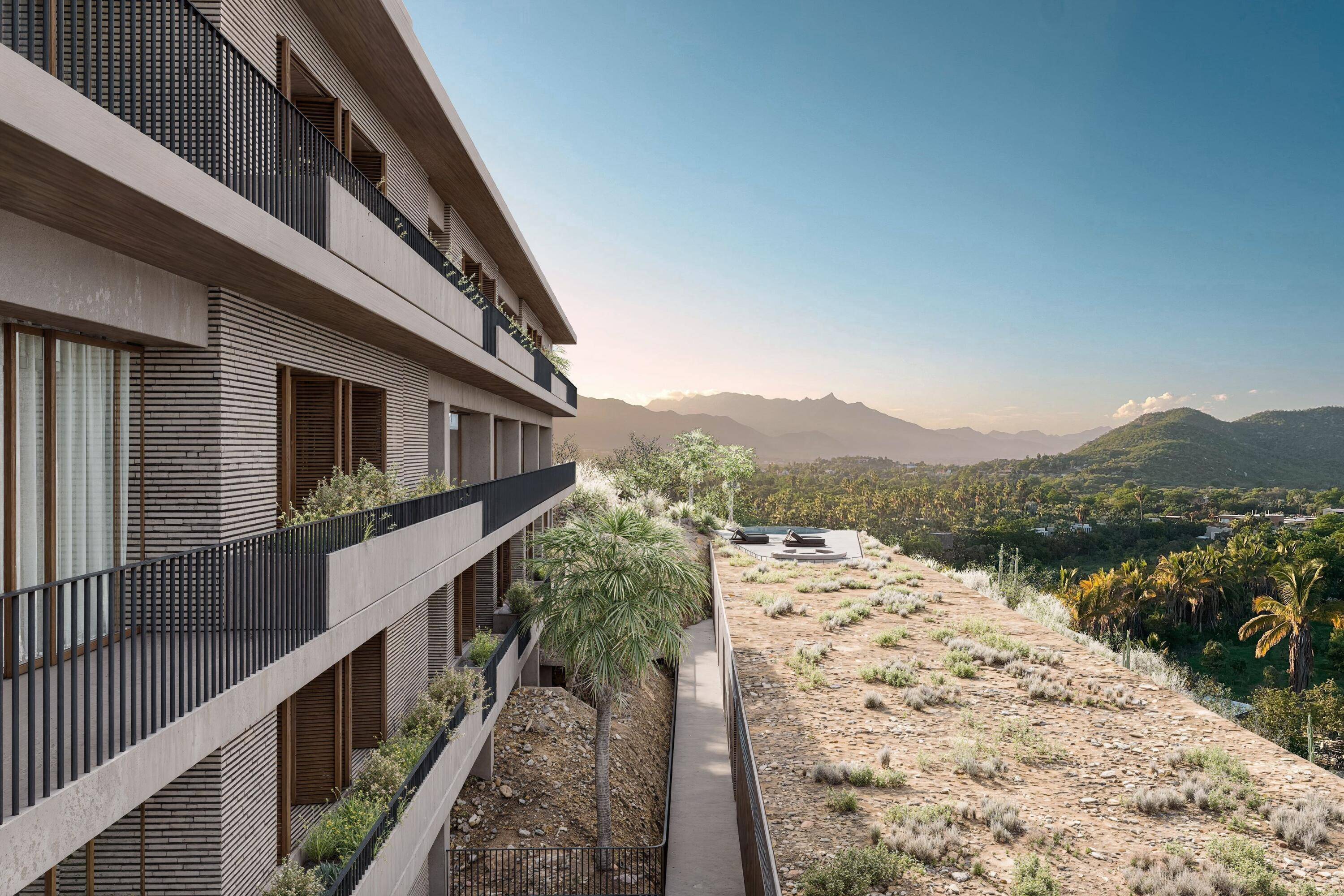 #Sendero, San Jose Del Cabo, Baja